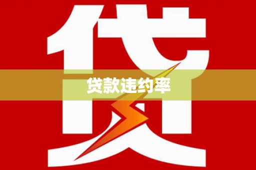 兴国贷款违约率