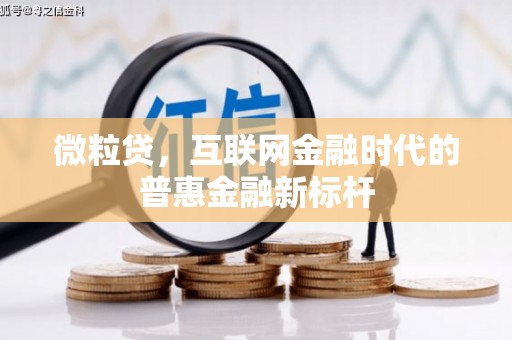 兴国微粒贷，互联网金融时代的普惠金融新标杆