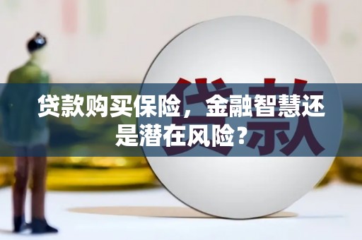 兴国贷款购买保险，金融智慧还是潜在风险？