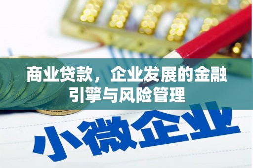 兴国商业贷款，企业发展的金融引擎与风险管理