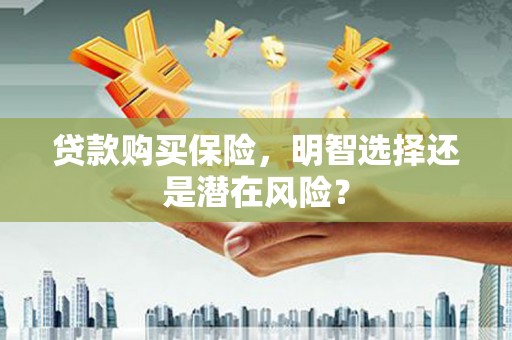 兴国贷款购买保险，明智选择还是潜在风险？