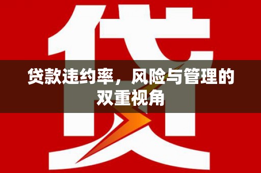 兴国贷款违约率，风险与管理的双重视角