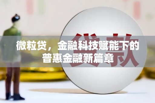 兴国微粒贷，金融科技赋能下的普惠金融新篇章