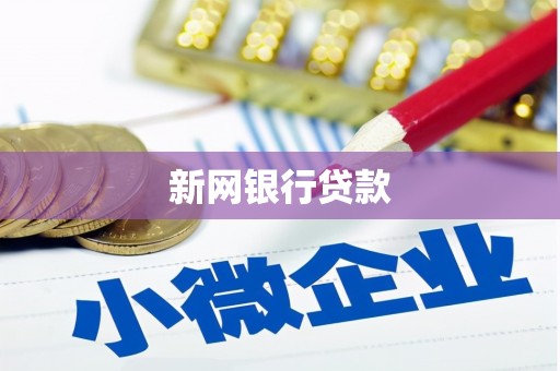 兴国新网银行贷款