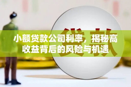 兴国小额贷款公司利率，揭秘高收益背后的风险与机遇