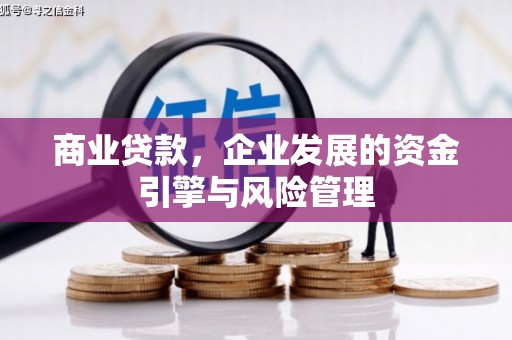 兴国商业贷款，企业发展的资金引擎与风险管理