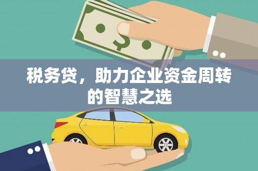 兴国税务贷，助力企业资金周转的智慧之选