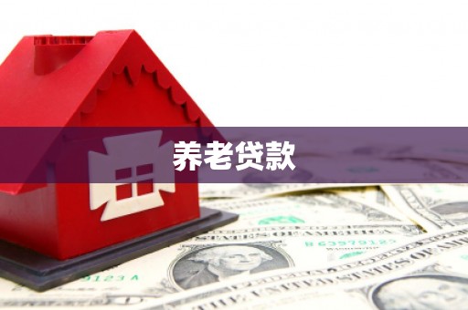 兴国养老贷款