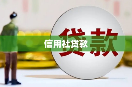 兴国信用社贷款