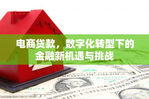 兴国电商贷款，数字化转型下的金融新机遇与挑战