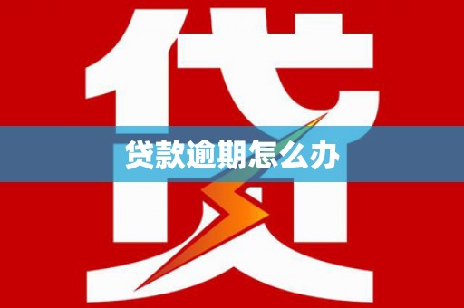 兴国贷款逾期怎么办