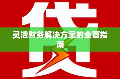 兴国灵活财务解决方案的全面指南
