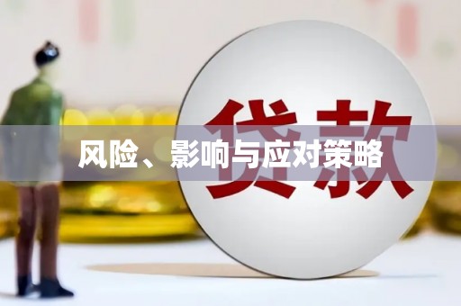 兴国风险、影响与应对策略
