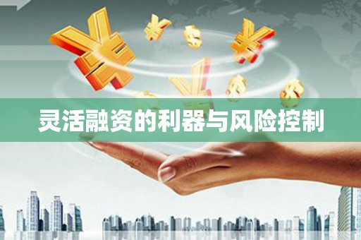 兴国灵活融资的利器与风险控制
