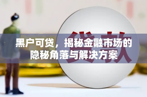 兴国黑户可贷，揭秘金融市场的隐秘角落与解决方案