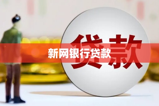 兴国新网银行贷款