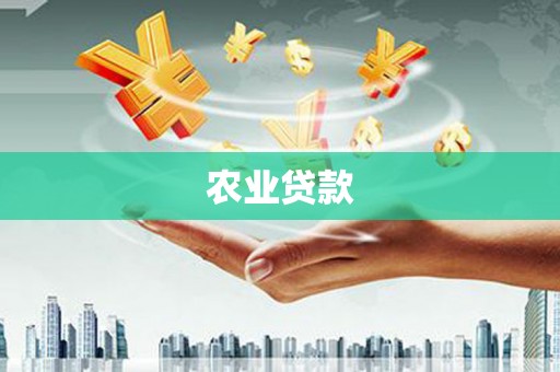 兴国农业贷款