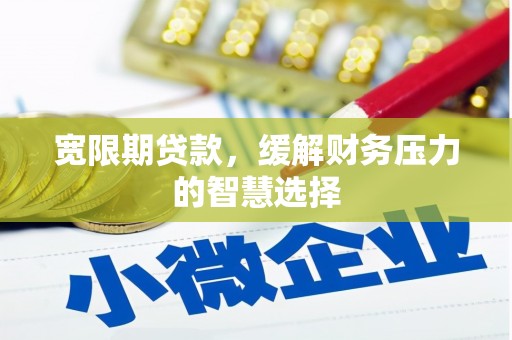 兴国宽限期贷款，缓解财务压力的智慧选择