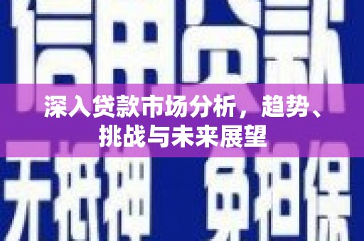 兴国深入贷款市场分析，趋势、挑战与未来展望