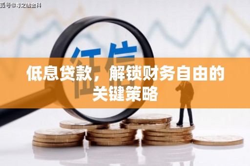 兴国低息贷款，解锁财务自由的关键策略