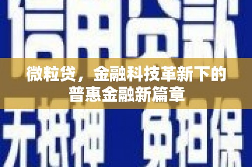 兴国微粒贷，金融科技革新下的普惠金融新篇章