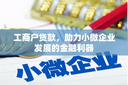 兴国工商户贷款，助力小微企业发展的金融利器