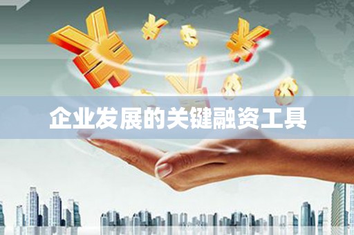 兴国企业发展的关键融资工具