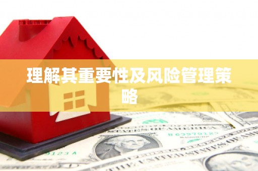 兴国理解其重要性及风险管理策略