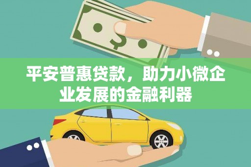 兴国平安普惠贷款，助力小微企业发展的金融利器