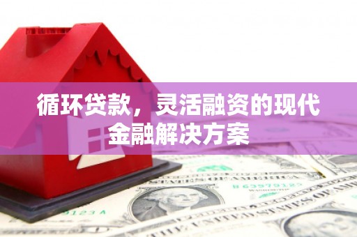 兴国循环贷款，灵活融资的现代金融解决方案