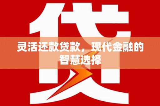 兴国灵活还款贷款，现代金融的智慧选择