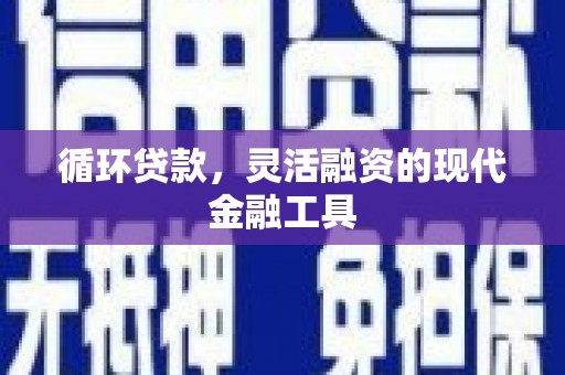 兴国循环贷款，灵活融资的现代金融工具