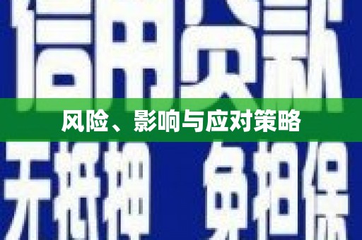 兴国风险、影响与应对策略