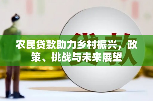 兴国农民贷款助力乡村振兴，政策、挑战与未来展望