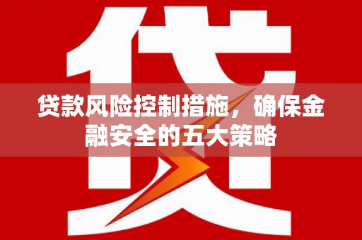 兴国贷款风险控制措施，确保金融安全的五大策略