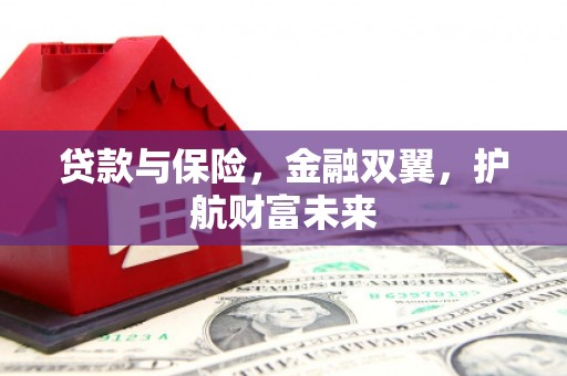 兴国贷款与保险，金融双翼，护航财富未来