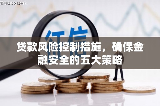兴国贷款风险控制措施，确保金融安全的五大策略