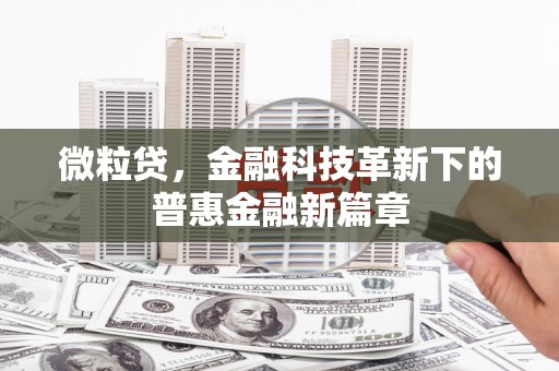 兴国微粒贷，金融科技革新下的普惠金融新篇章