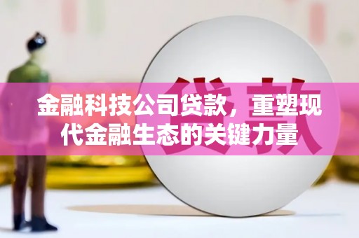 兴国金融科技公司贷款，重塑现代金融生态的关键力量
