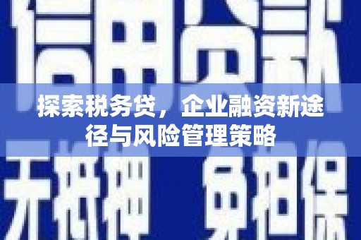 兴国探索税务贷，企业融资新途径与风险管理策略