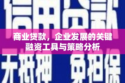 兴国商业贷款，企业发展的关键融资工具与策略分析
