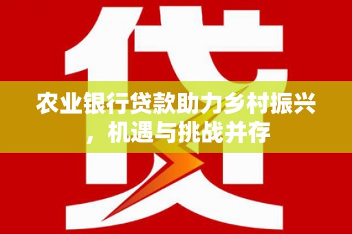兴国农业银行贷款助力乡村振兴，机遇与挑战并存