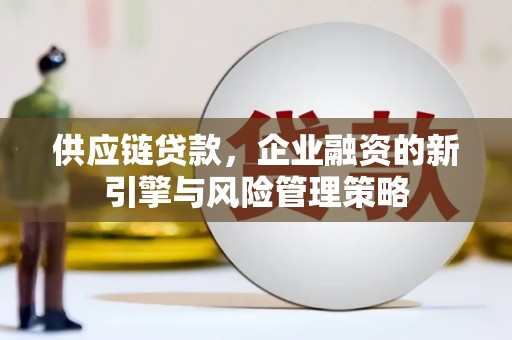 兴国供应链贷款，企业融资的新引擎与风险管理策略