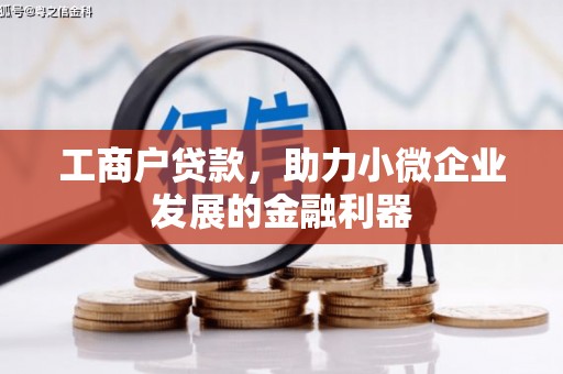 兴国工商户贷款，助力小微企业发展的金融利器