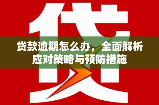 兴国贷款逾期怎么办，全面解析应对策略与预防措施