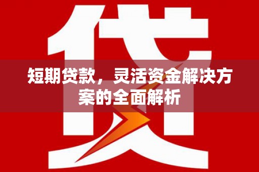 兴国短期贷款，灵活资金解决方案的全面解析