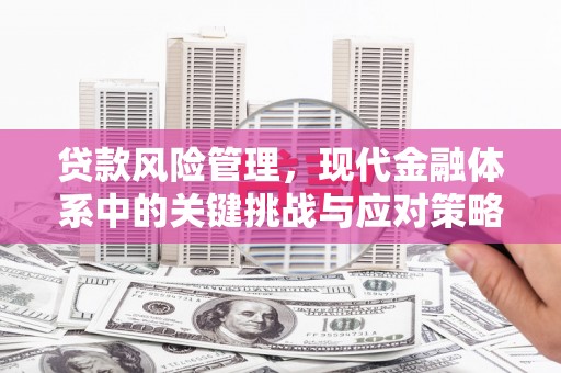 兴国贷款风险管理，现代金融体系中的关键挑战与应对策略