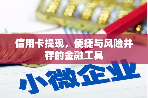 兴国信用卡提现，便捷与风险并存的金融工具