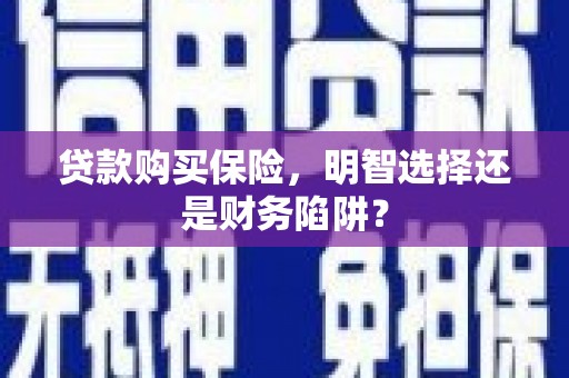 兴国贷款购买保险，明智选择还是财务陷阱？