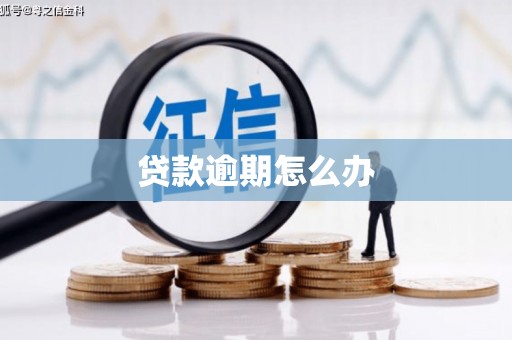 兴国贷款逾期怎么办
